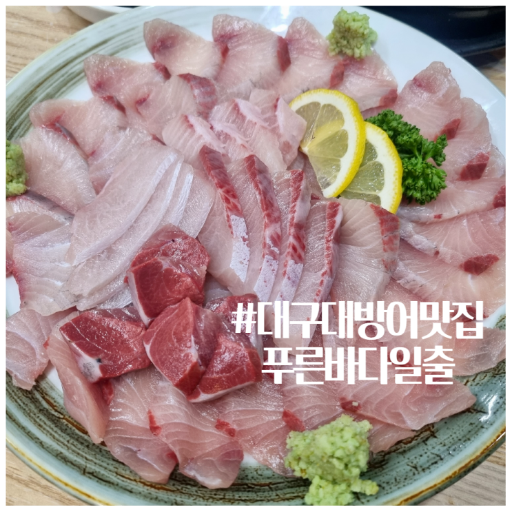 대구 방촌동 맛집 푸른바다일출 자연산 대방어회 대구 동촌 맛집 인정