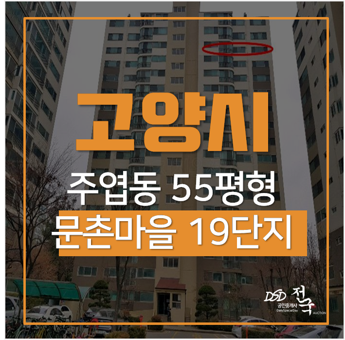 일산아파트경매, 문촌마을19단지신우아파트 55평 시세차익 3억 주엽역