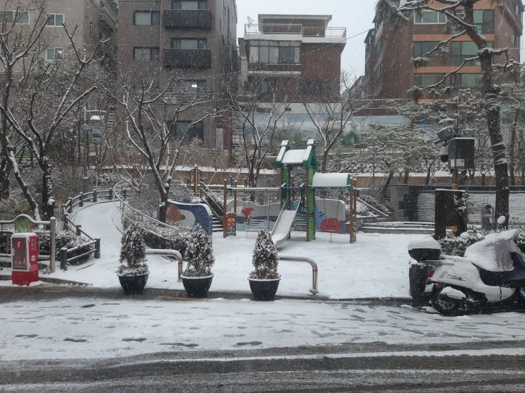  성대순대촌