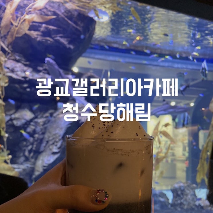  청수당 해림 광교아쿠아플라넷을 가지 않아도 상어를 볼 수 있는 광교갤러리아카페