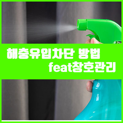 쾌적하고 안전한 실내를 위해 해충 유입 차단법 쾌적하고 안전한 실내를 위해 해충 유입 차단법