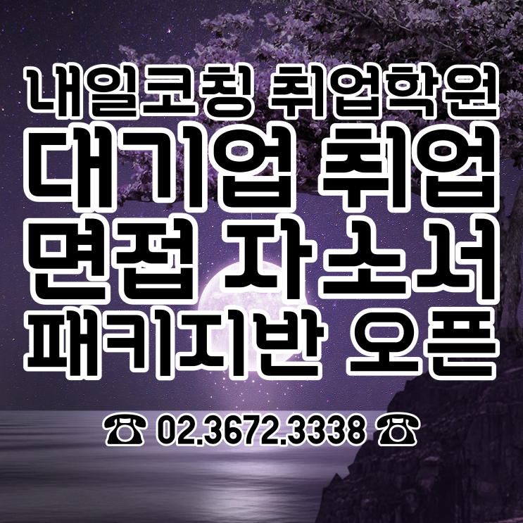 대기업 취업학원 단기간 그룹반 개강! :: 대기업 면접, 자소서 21시간 완성! 대기업 취업학원 단기간 그룹반 개강! :: 대기업 면접, 자소서 21시간 완성!