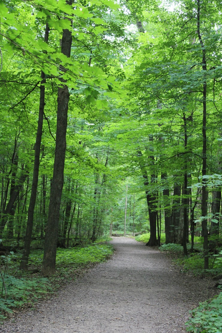 산림공학기술자 산림공학기술자