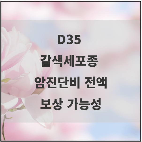  D35 갈색세포종 진단비 전액 보상 가능합니다.