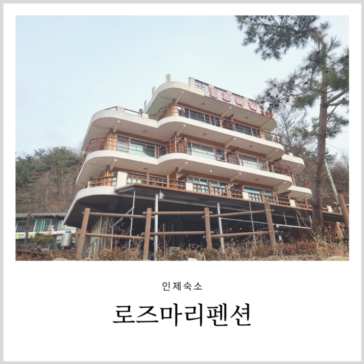 인제펜션 로즈마리펜션 자작나무숲 근처 좋았던 숙소 인제펜션 로즈마리펜션 자작나무숲 근처 좋았던 숙소