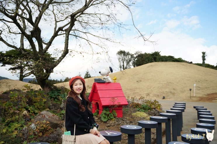 제주 스누피가든 할인 볼거리와 카페 제주 스누피가든 할인 볼거리와 카페