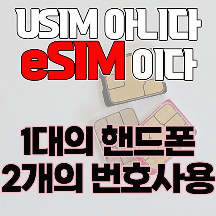  하나의 스마트폰 두개의 번호사용! 내년 9월 eSIM(이심) 도입
