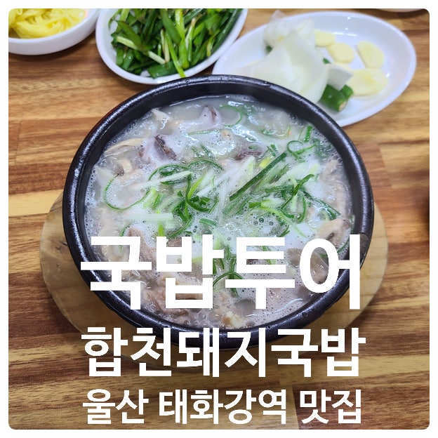 합천돼지국밥 돈다리탕 - 국밥 투어, 울산 태화강역 맛집