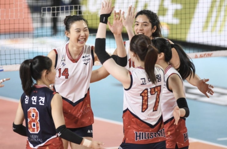 KOVO 프로배구 국내 남자배구 현대캐피탈 삼성화재 여자배구 현대건설 페퍼저축은행 KOVO 프로배구 국내 남자배구 현대캐피탈 삼성화재 여자배구 현대건설 페퍼저축은행