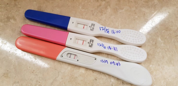 임신이야기#1 임신 테스트기 임신 극초기증상 임신 착상혈 증상