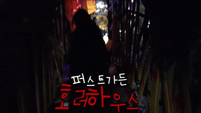 파주 퍼스트가든 호러하우스 가우디움 동물원 파주 퍼스트가든 호러하우스 가우디움 동물원