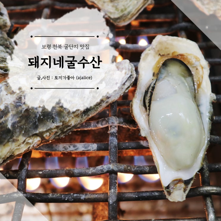 보령 천북 굴단지 맛집 굴로 배 채우고 왔어요 보령 천북 굴단지 맛집 굴로 배 채우고 왔어요