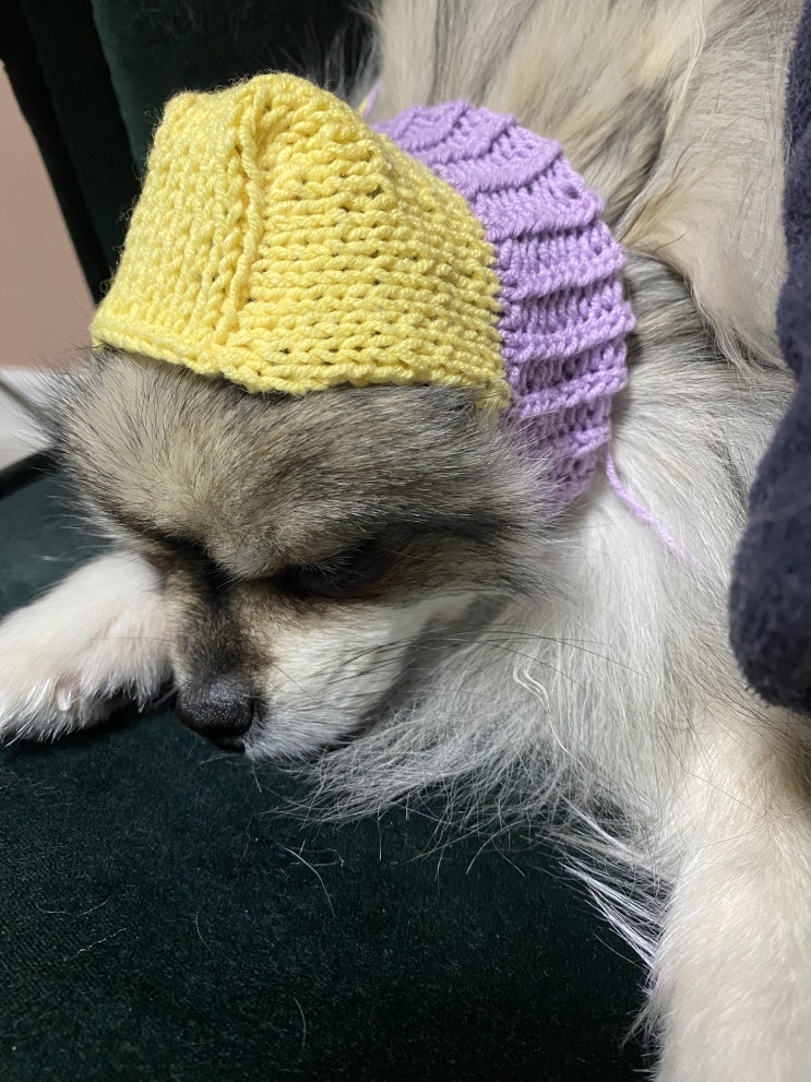 유치원 간 꾸꾸와 꾸라클라바