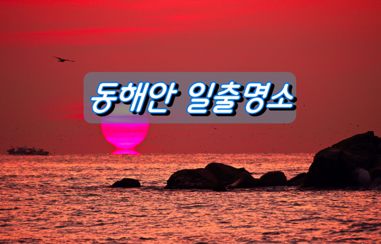 강원도 동해안 일출명소 어디가 좋을까 강원도 동해안 일출명소 어디가 좋을까