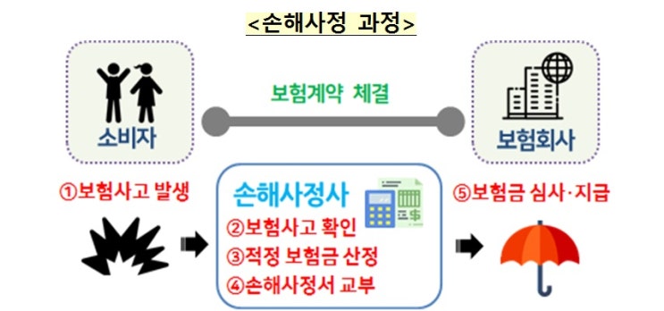 보험금 후려치기 막는다… 손해사정서에 산정 근거 필수 기재 보험금 후려치기 막는다… 손해사정서에 산정 근거 필수 기재