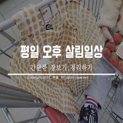  평일 오후살림 간단한 장보기