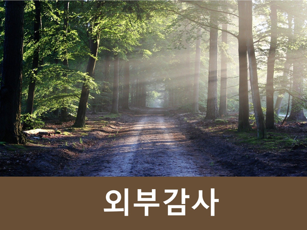  외부감사인 지정 사유 및 선임 보고?
