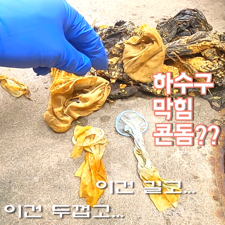  마포구 합정동 하수구 막힘. 콘돔이 거기서 왜 나와