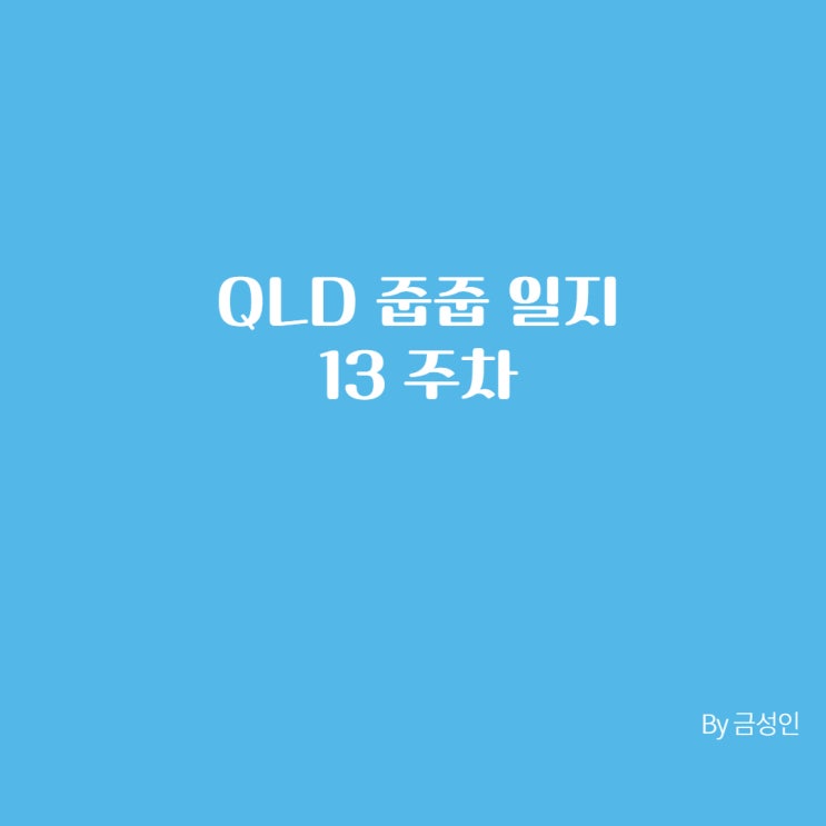 QLD 줍줍 일지 13주차