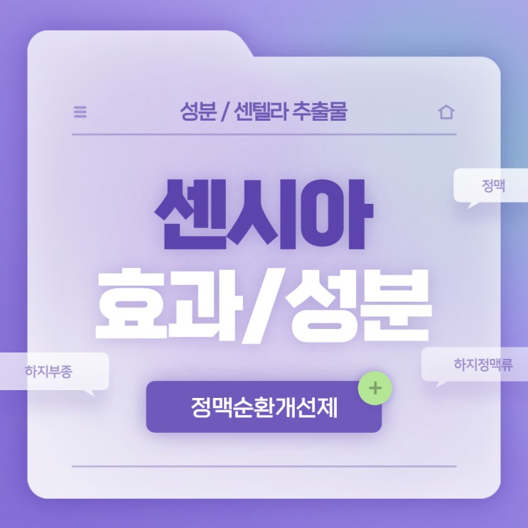  하지정맥류 : 센시아 효과 및 성분 【#정맥순환개선제 #하지부종 #정맥 #센텔라】