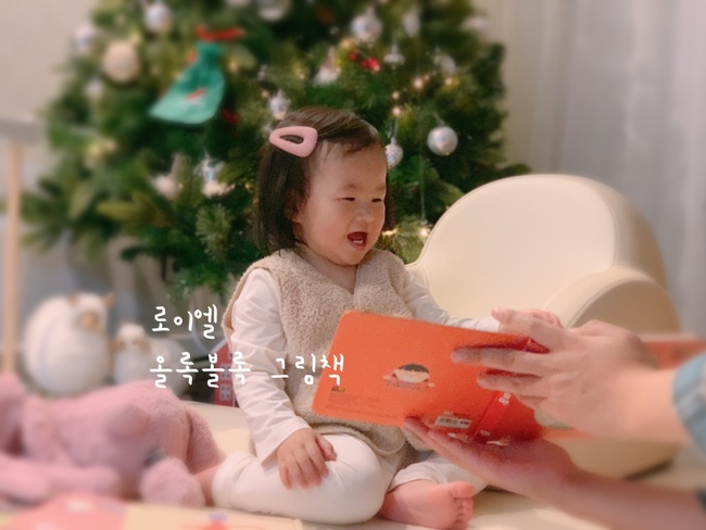 아기 그림책 추천 | 로이엘 올록볼록 그림책