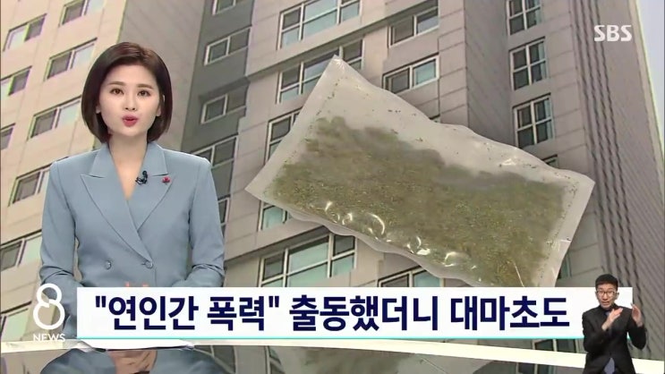 연인 간 폭력 유명 청담동 피부과 의사 원장 이름 집 대마초 발견 연인 간 폭력 유명 청담동 피부과 의사 원장 이름 집 대마초 발견