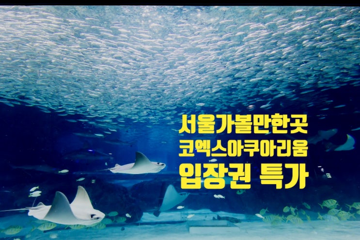 서울 가볼만한곳 코엑스 아쿠아리움 입장권 할인 기간한정 서울 가볼만한곳 코엑스 아쿠아리움 입장권 할인 기간한정