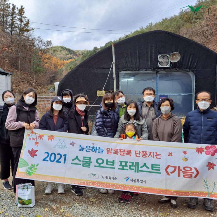   평화의숲 스쿨오브포레스트 I 나만의 우리 꽃을 피워보자