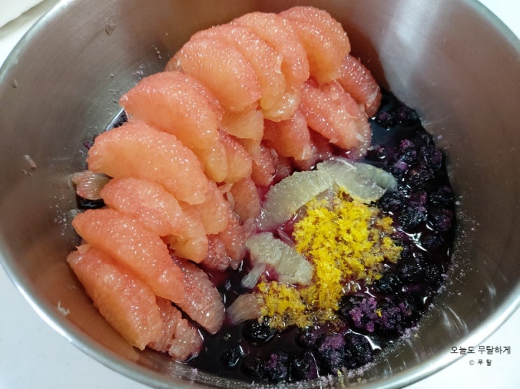  전처리 꼼꼼한 자몽 레몬으로 블렌딩 착즙 과일청 만들기 병입하는 방법과 꿀팁까지