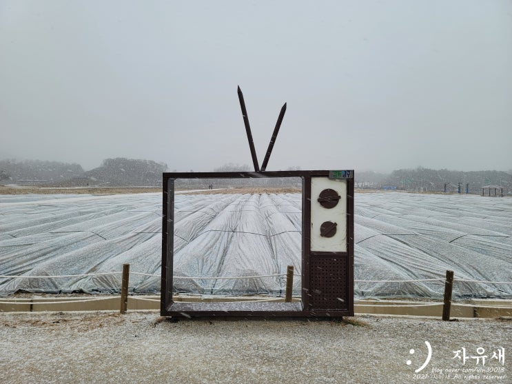  경기도 양주 나리농원(나리공원) 입장료와 사전예약 방법
