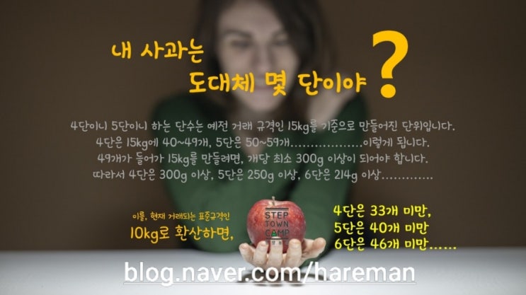 (영양농원)내가 먹고 있는 사과는 어느 정도 등급일까?