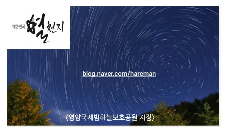 (영양농원) '스텝타운캠프'