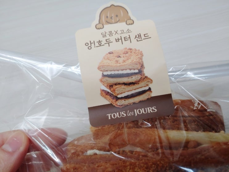  뚜레쥬르 티데이 앙호두버터샌드 후기