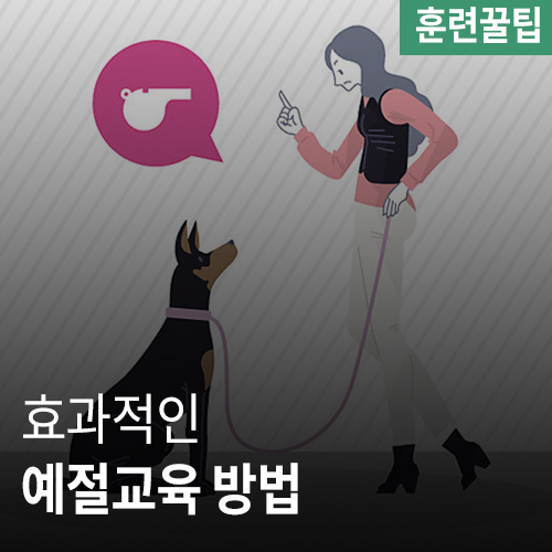  예절교육 훈련방법과 효과