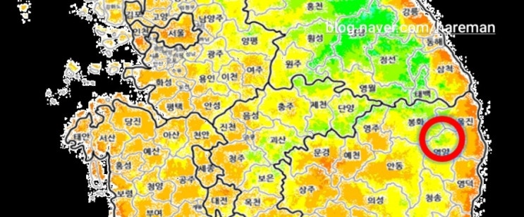  (영양농원)앞으로 70년....