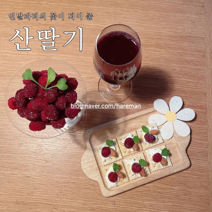  영양농원 고도 3.5 아이스산딸기는요..