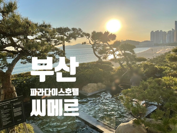  부산 파라다이스 호텔:신관 오션테라스, 씨메르,아쿠아풀 상세 리뷰