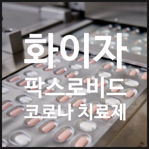  화이자 먹는 코로나 치료제 팍스로비드 FDA 승인: 구매방법, 가격 및 기대 효과