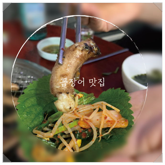  [낙성대 서울대입구 꼼장어]  산 꼼장어구이는 여기가 찐이예요 / 오동도 산 아나고 꼼장어