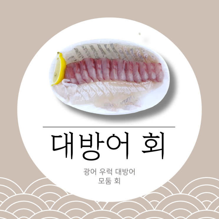  은평구 '싸다구 횟집' 대방어 겨울 제철 모둠 회