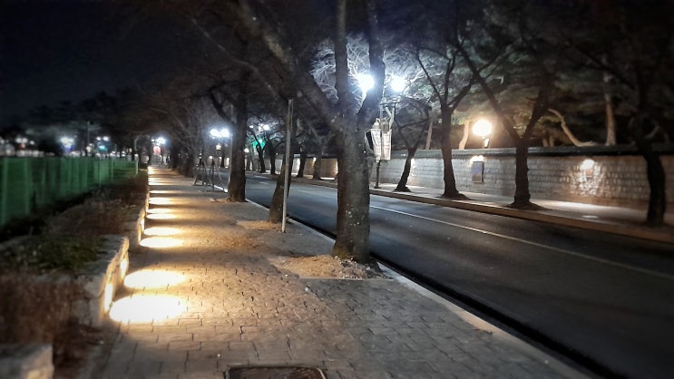  저녁 산책하기 좋은 경주 시내 야경 명소