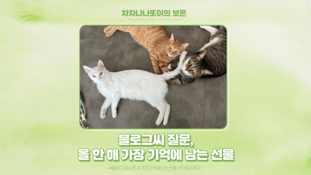  올해 받은 선물 중 가장 기억에 남는 건 당연히 또이가 아닐까..?
