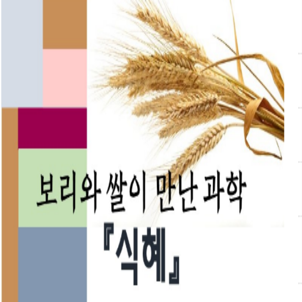  [12/28 10:00] 쌀박물관 식혜만들기