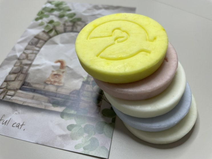  마카롱비누 강아지 산책 후 발 씻을 때 양보하세요!