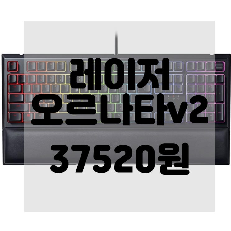  Razer Ornata V2 게임용 키보드 하이브리드 기계식 키 스위치 맞춤형 크로마 RGB조명 개별 백라이트 키 분리형 플러시 손목 받침대 프로그래밍 가능 매크로