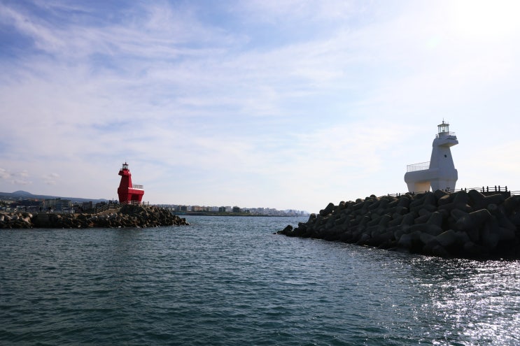  [제주도 가 볼 만한 곳 : 이호테우말등대, 제주이호랜드] 제주공항 근처 이색적인 등대