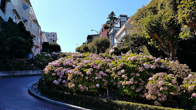 San Fransisco - 킬힐과 꽃길