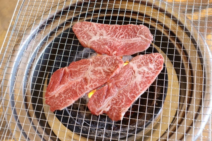  강아지 소고기 똑똑하게 급여하기 위해 체크할 것 5가지