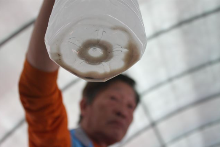 지하수 수질검사 석회질 제거 연수기 DIY (하루10톤~20톤) 지하수 수질검사 석회질 제거 연수기 DIY (하루10톤~20톤)