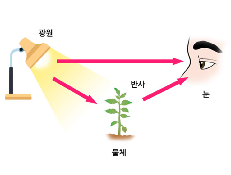  양자 중첩과 슈뢰딩거의 고양이